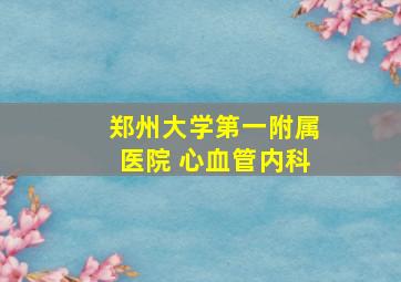 郑州大学第一附属医院 心血管内科